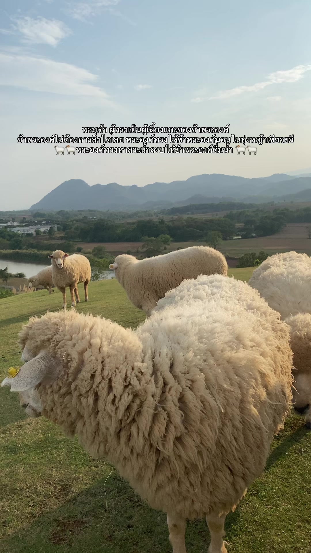@พื้นที่สีเขียว🍃
