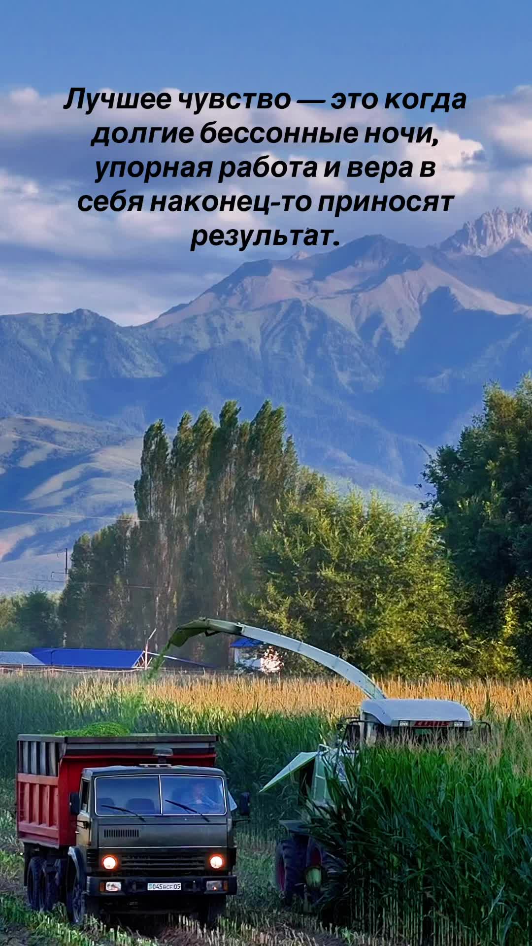 @Жанболат Тагаев
