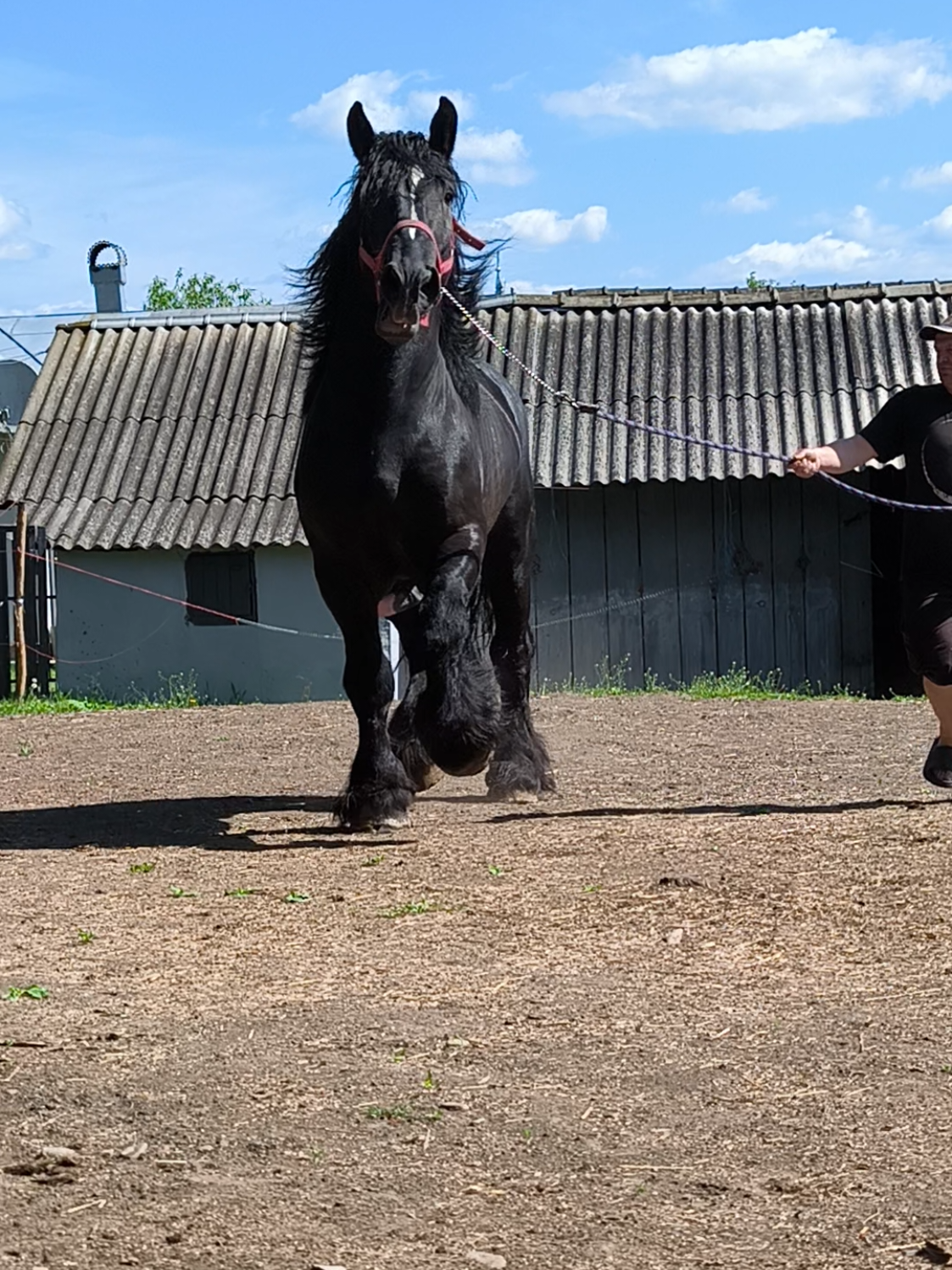 @ВАСЯ БОЙЧУК 🐎