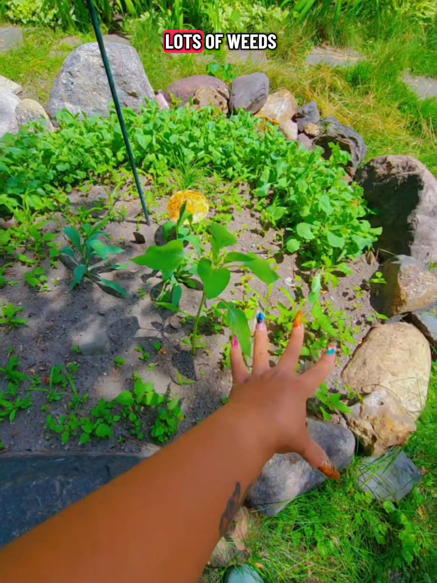 @Alicia ✨️🌱🐛