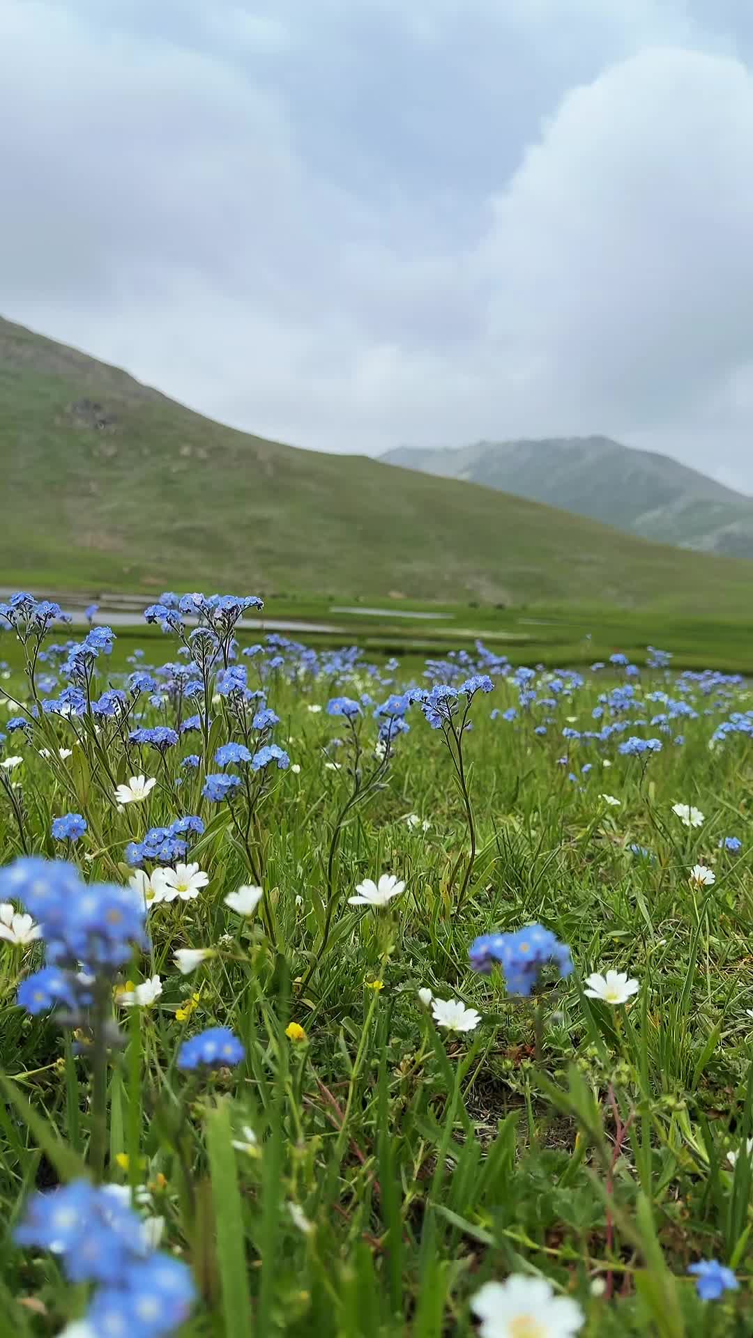 @travelwithbilal
