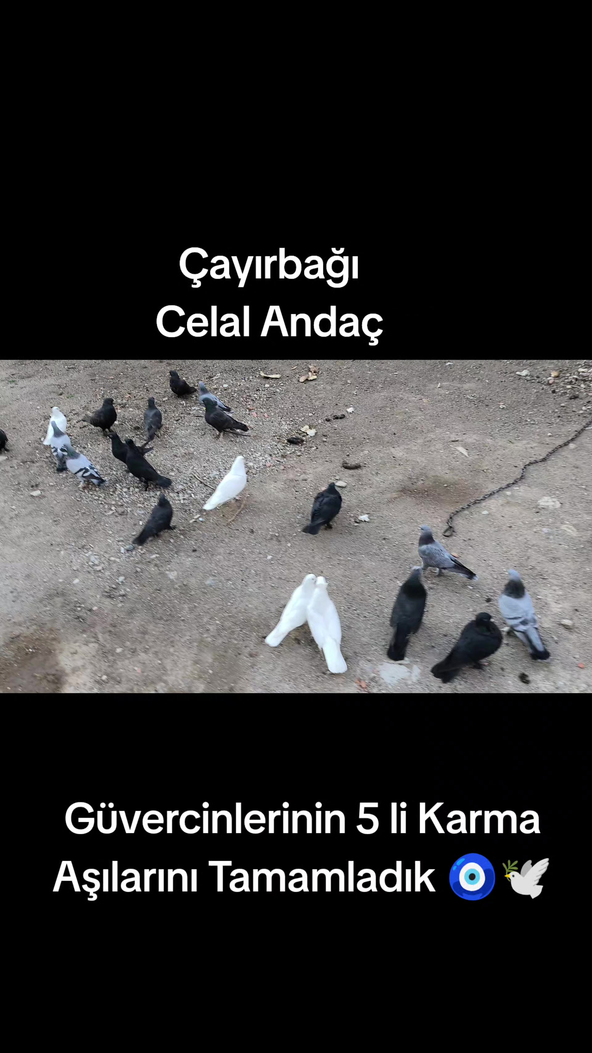@G&Uuml;VERCİNLERE FISILDAYAN ADAM