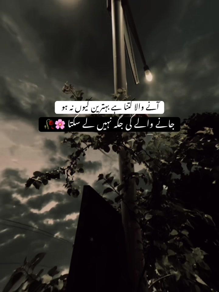 @𝘏 𝘈 𝘕 𝘡 𝘈 𝘓 𝘈 🐼 ✓