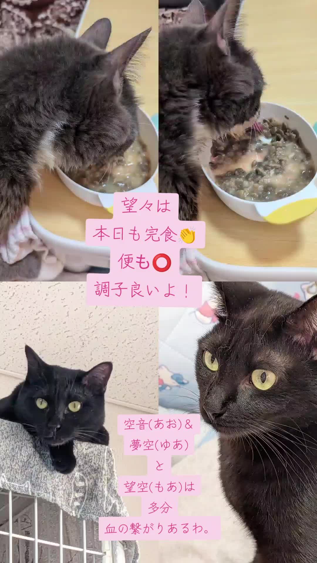 @てんきな