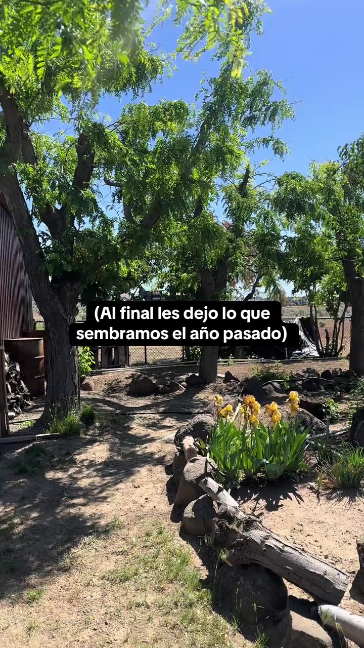 @𝐅𝐋𝐎𝐑-𝐘𝐘𝐒𝐄❤️
