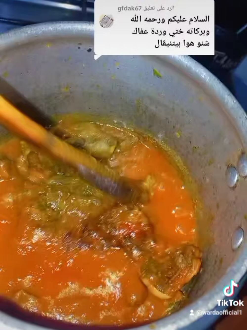 @وردة الجنوب اوفيسيل1