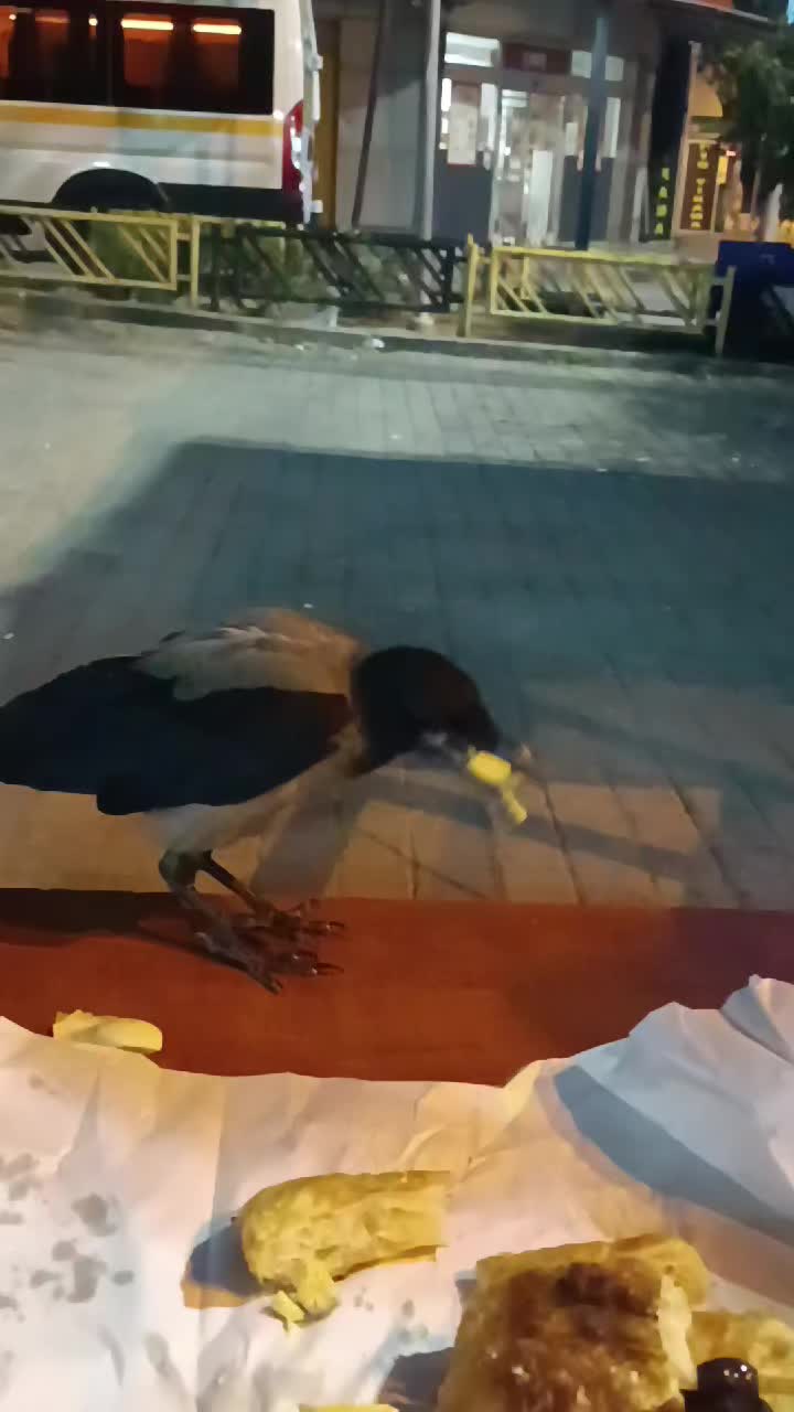 @Önder Tunç