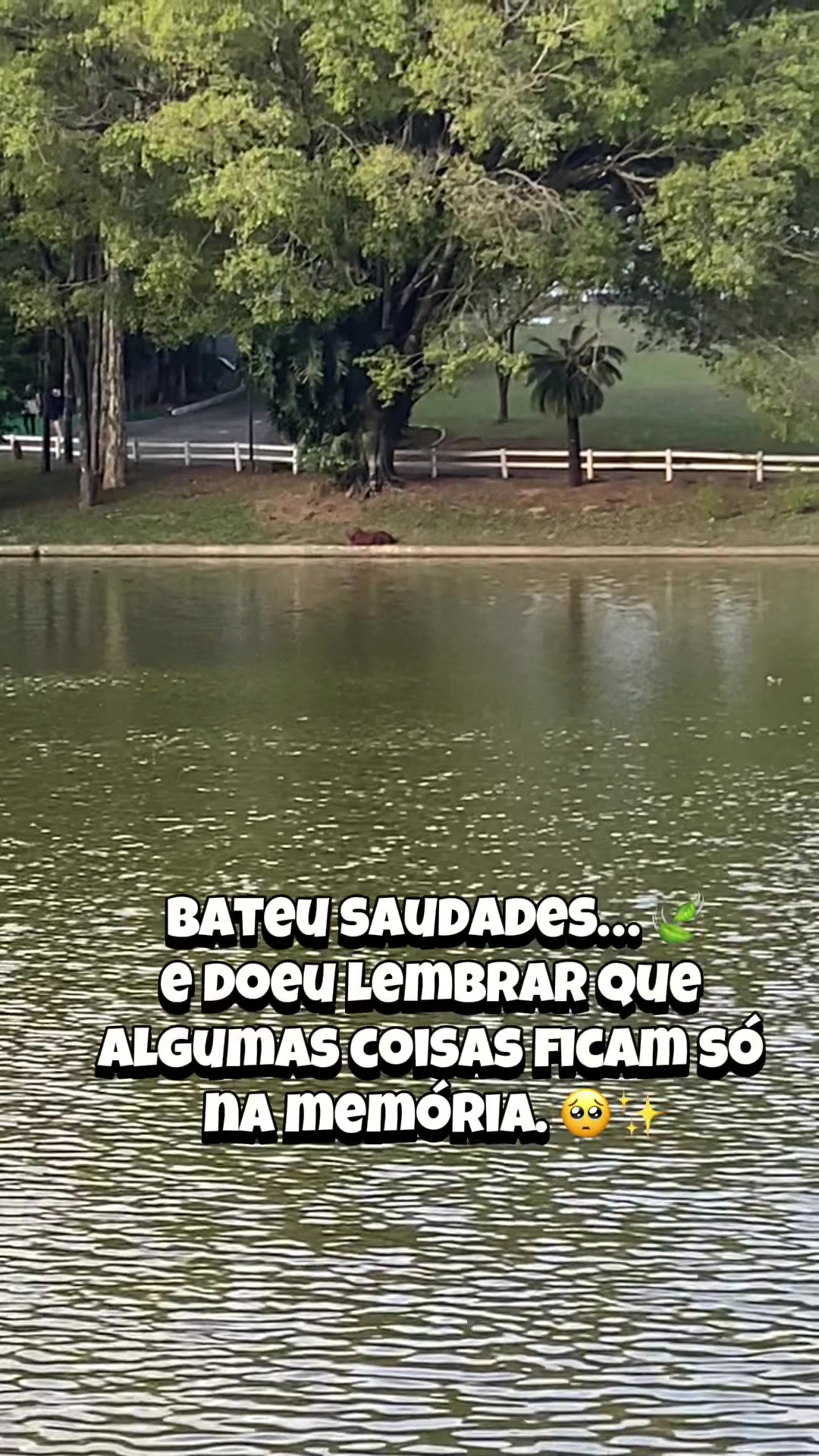 @&Iacute;ris silva 