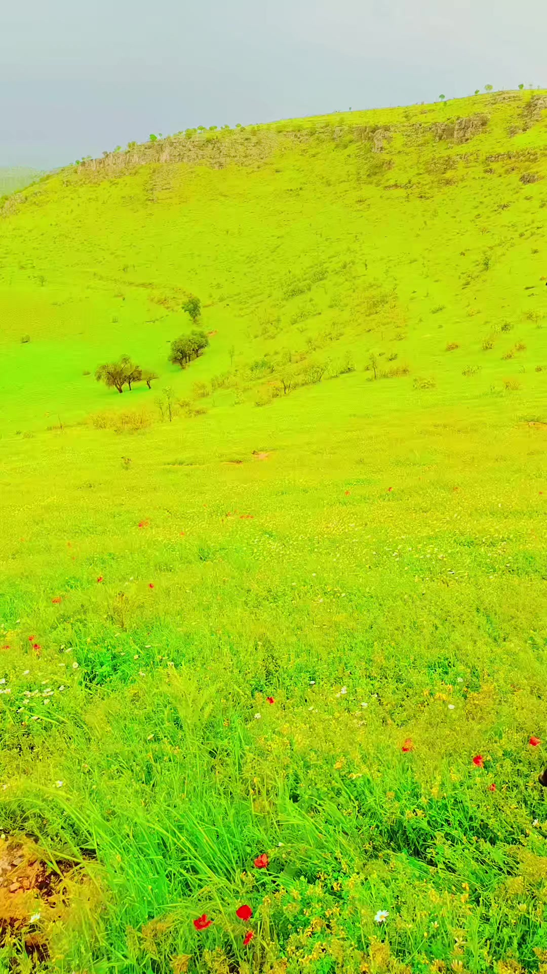 @Abdurrahim gül