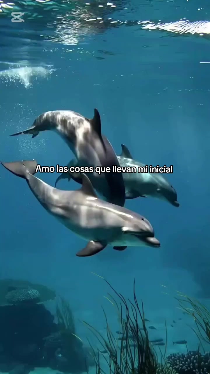 @ℕ𝔸ℕ𝕀