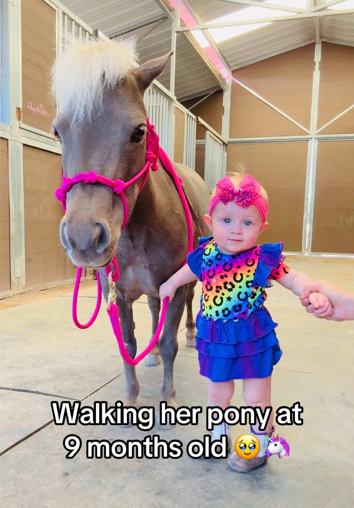 @Star Point Horsemanship