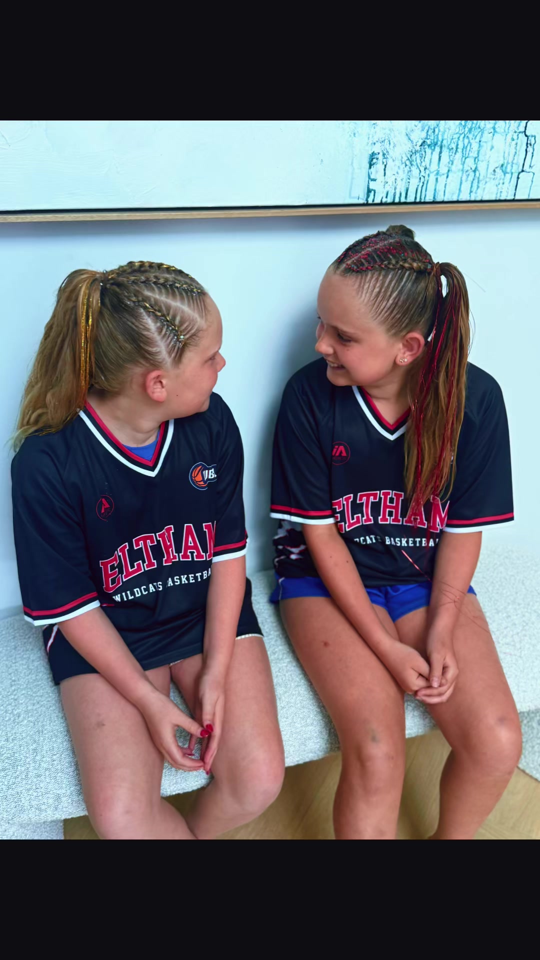 @VSA.braidsisters