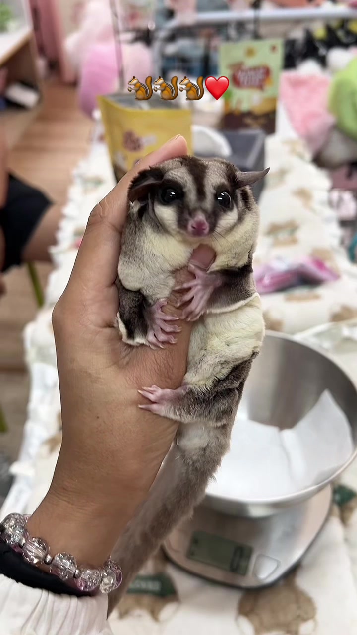 @jesugarglider.id1