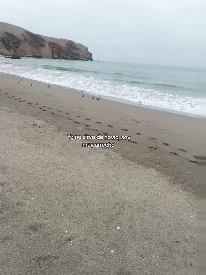 @loquepidawalls