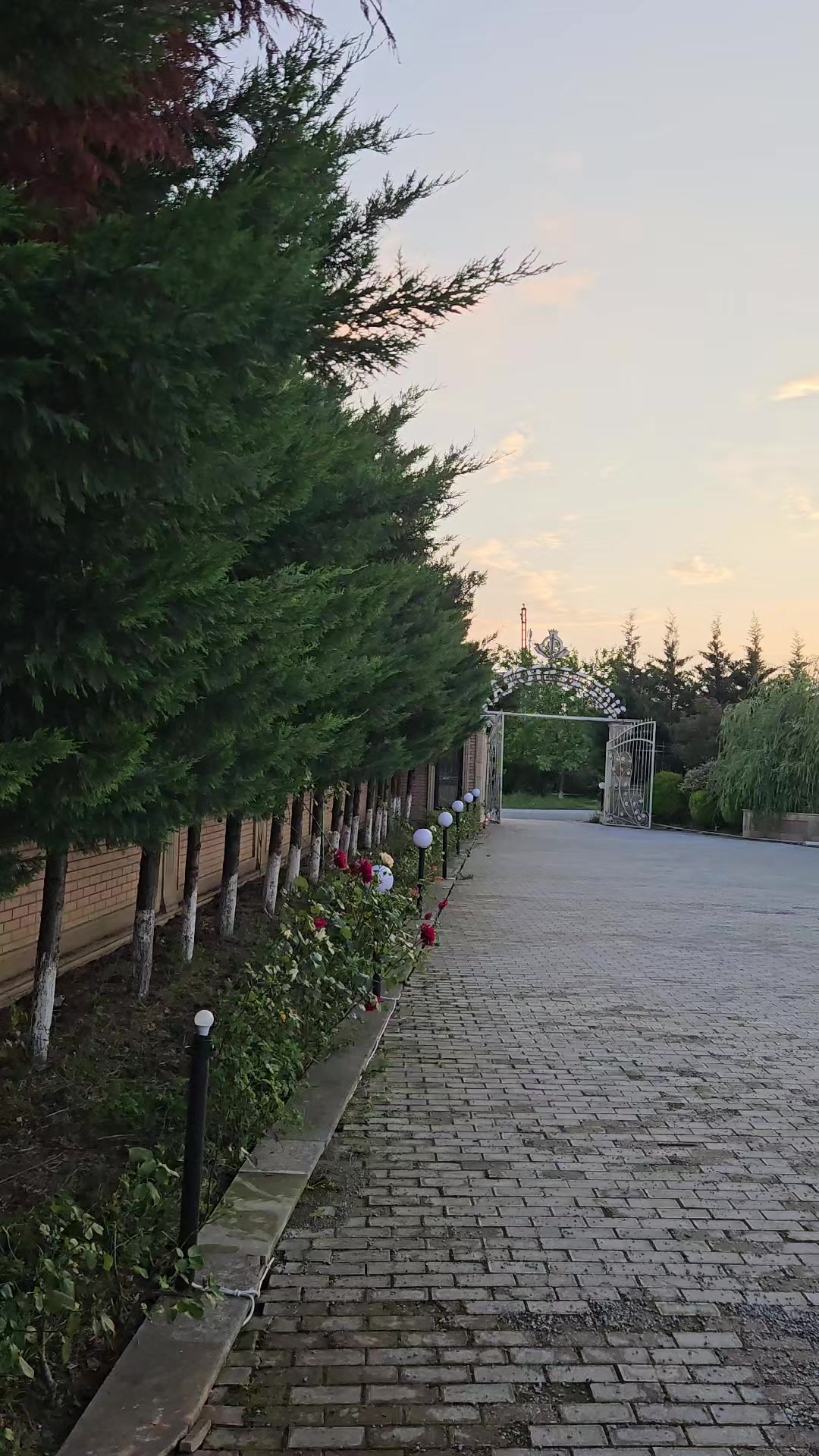 @Eşqin_111
