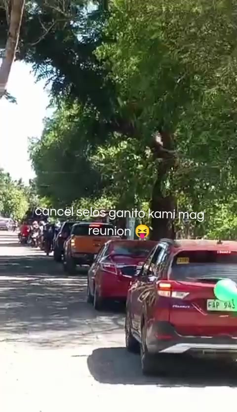 @🌷