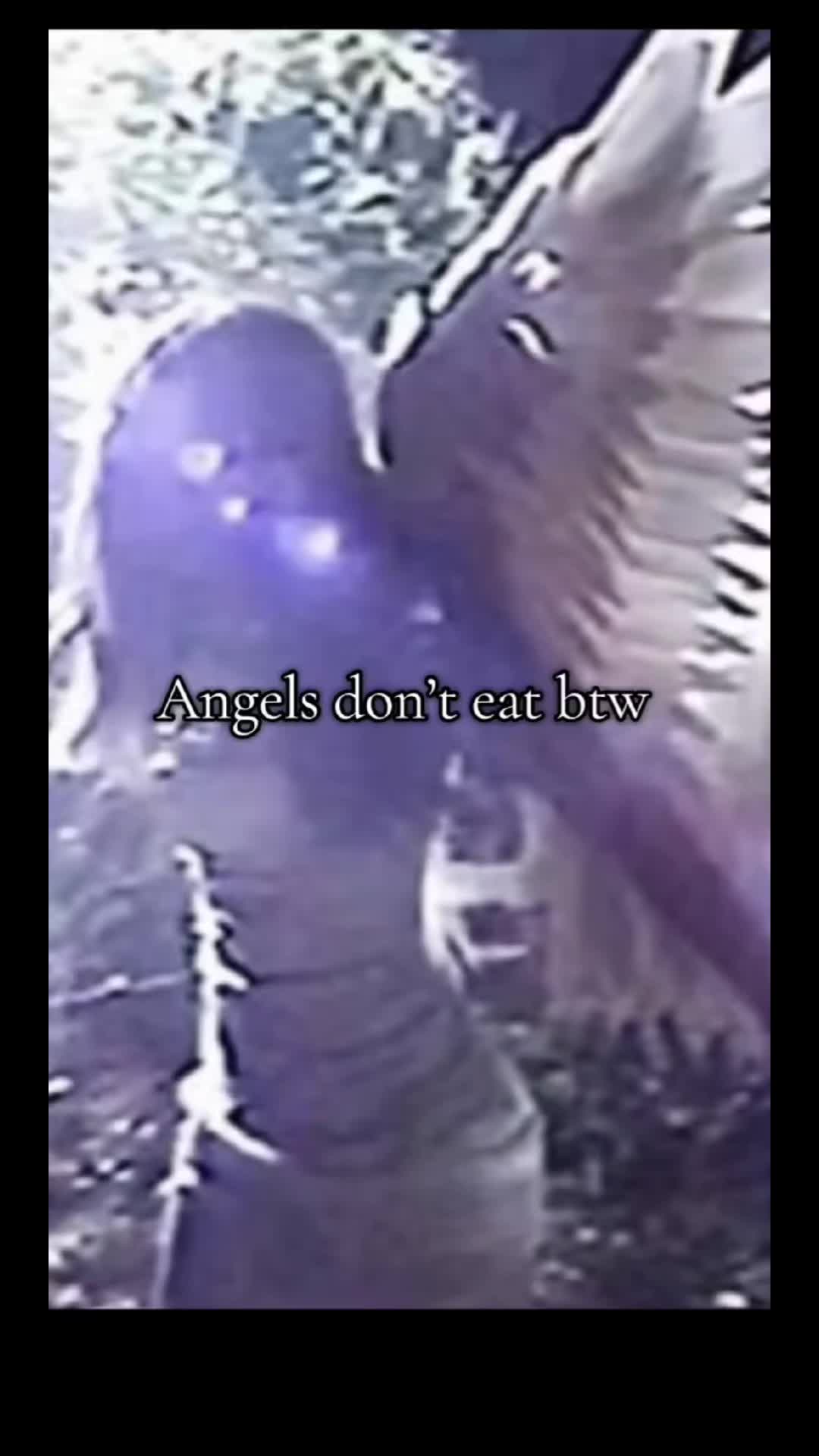@No food No problem