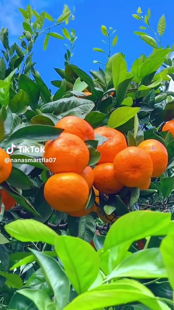 @정철호