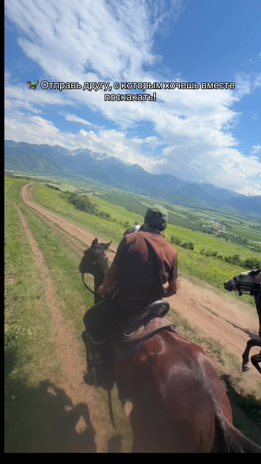 @tulpar_horses
