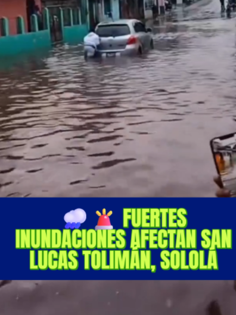 @Que Pu