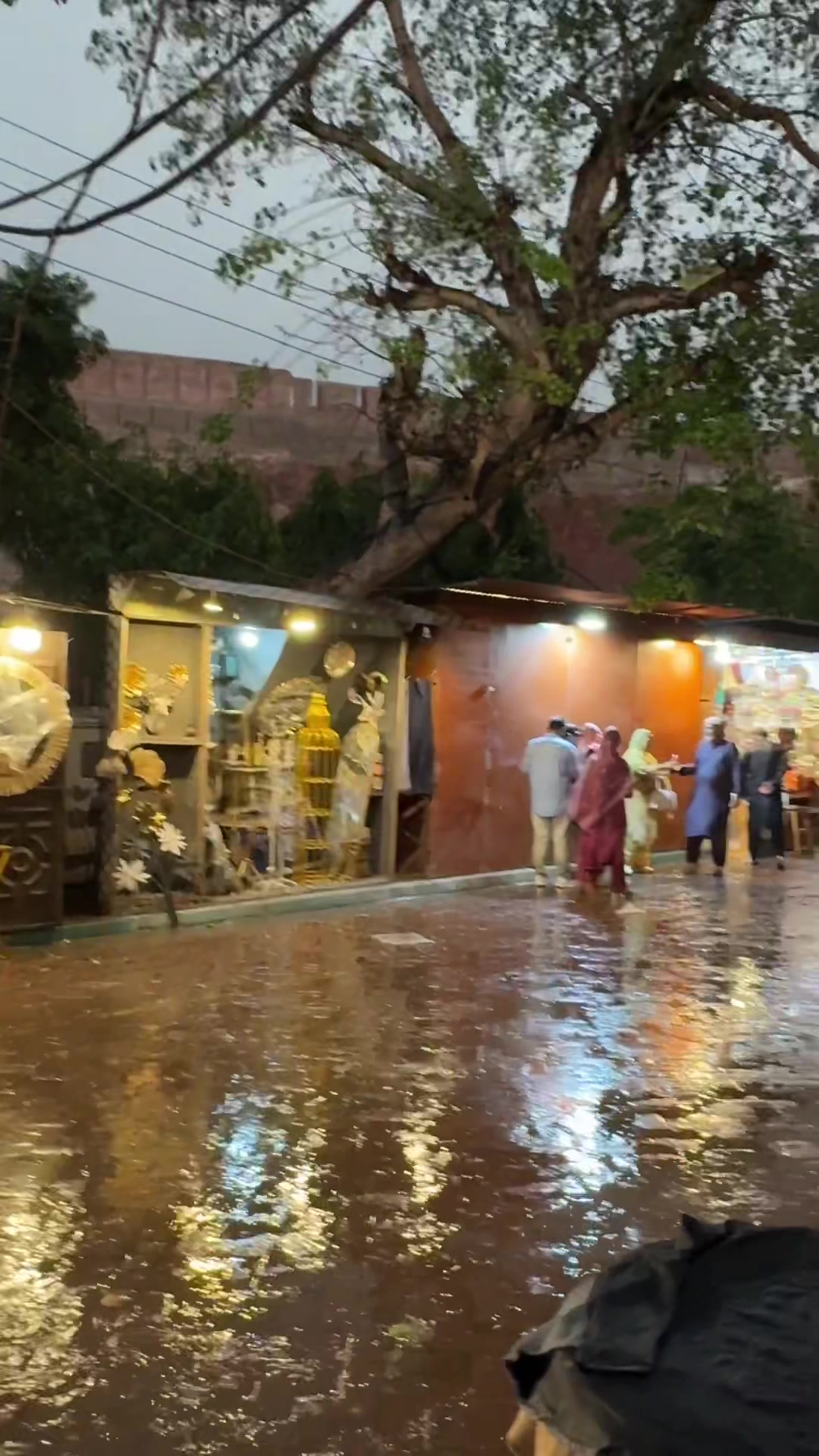 @Wekha Punjab