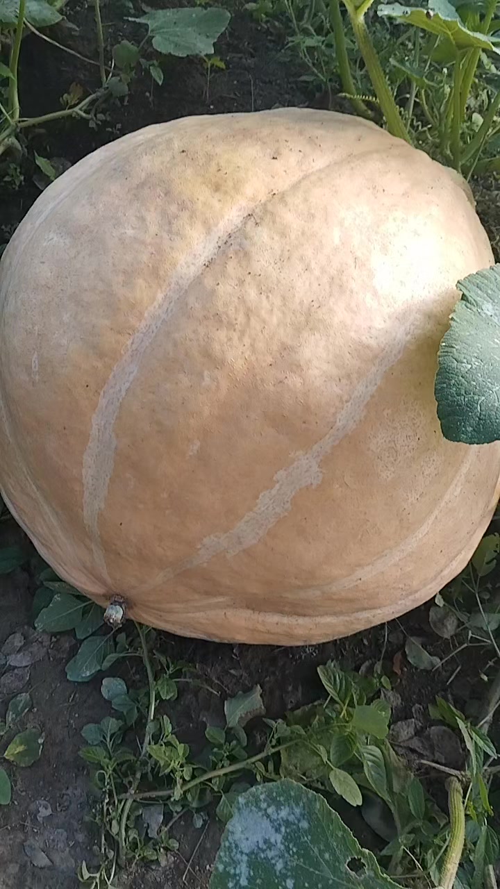 @ирунчик