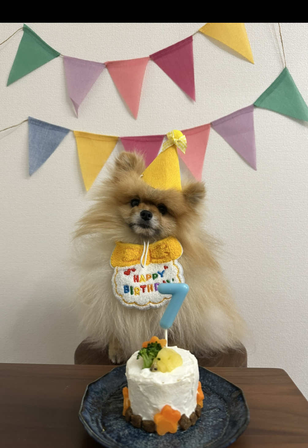 @チャック🐶