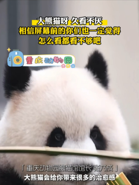 @闽南风~