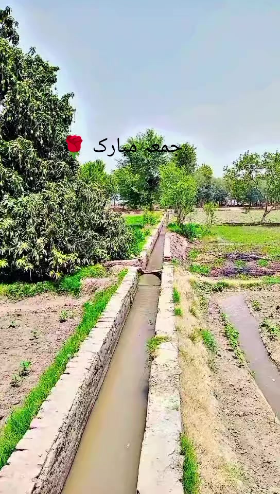 @Irtaza 267