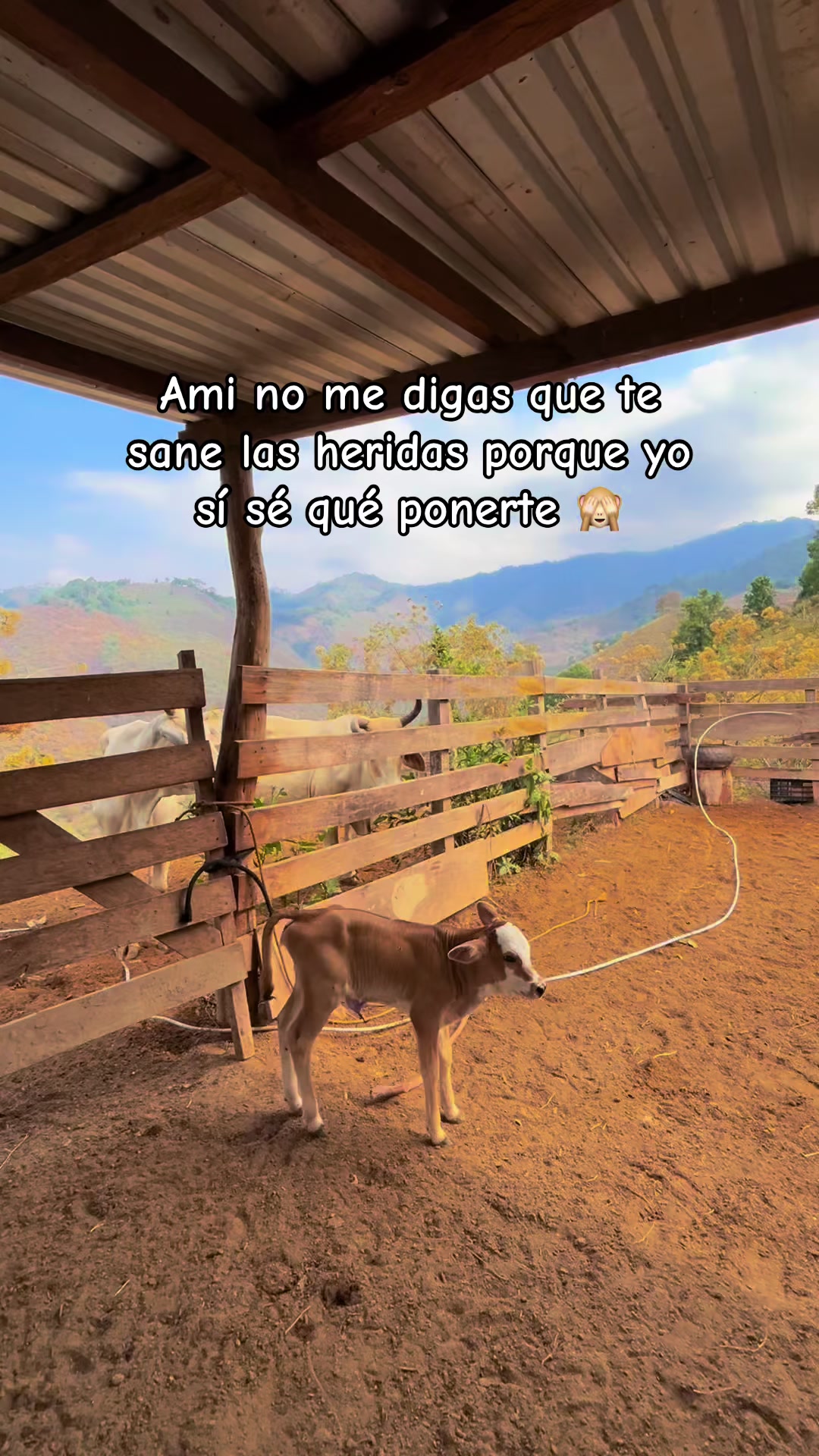 @🐮Itzel🫧