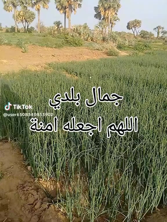 @☠️ود الشيخ 💀☠️