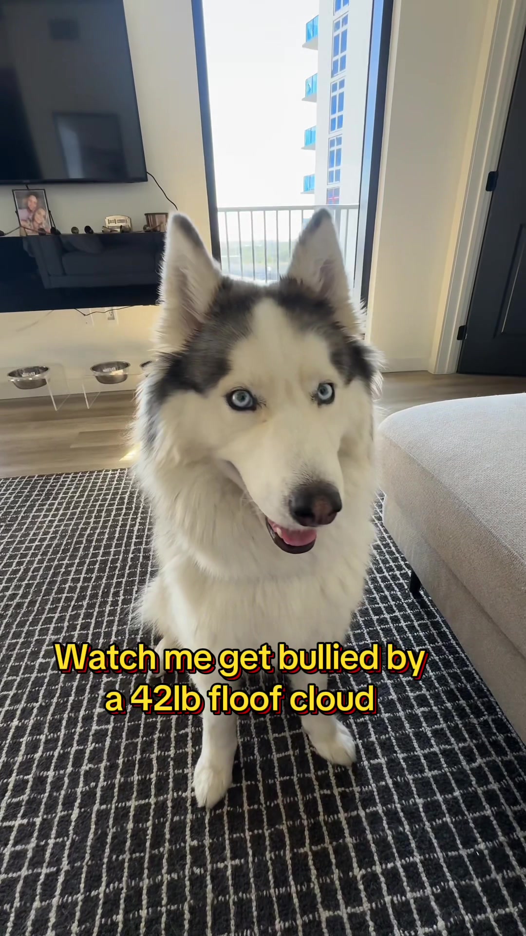 @Winnie & Wookie🐾