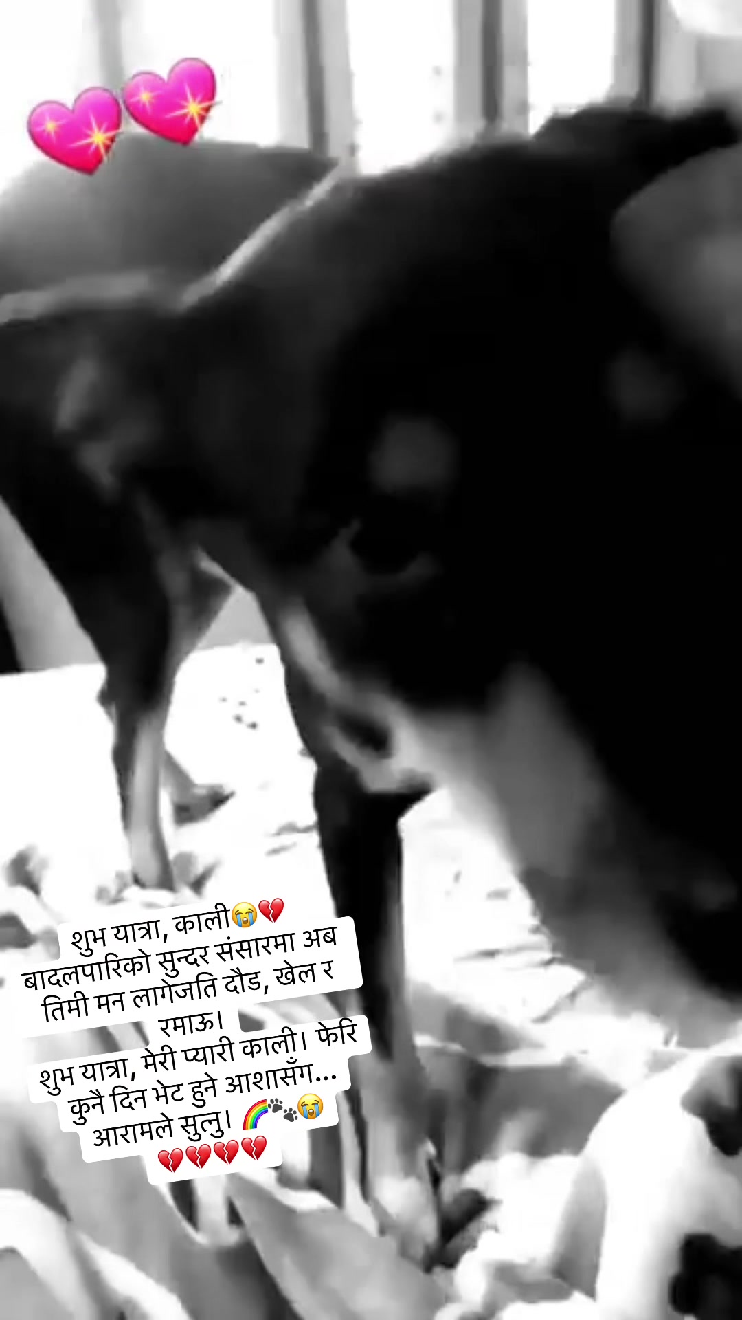 @ROSHANI ABHIMANYU DEVKOTA