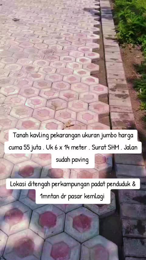 @"INOD"