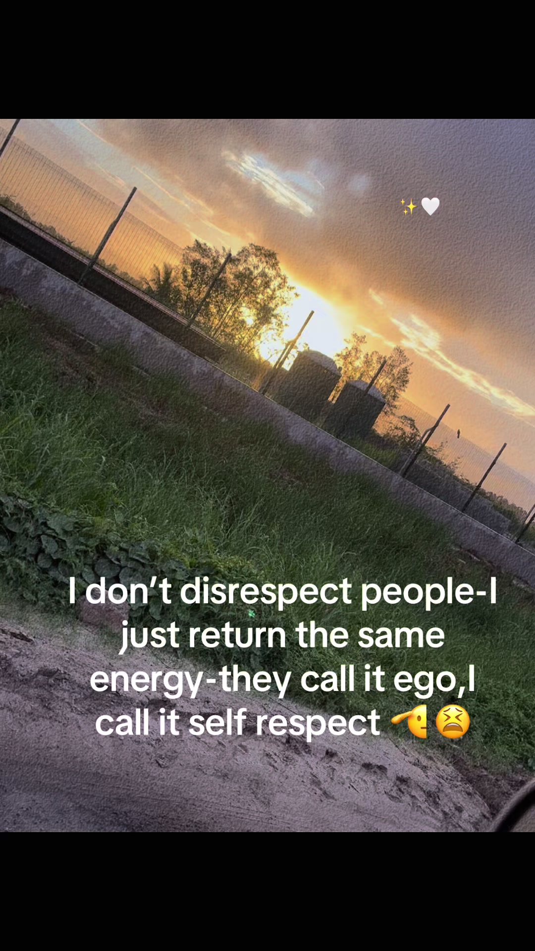 @Meshurrrr🖤