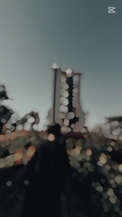 @Bebo_* 🐦🔥👀