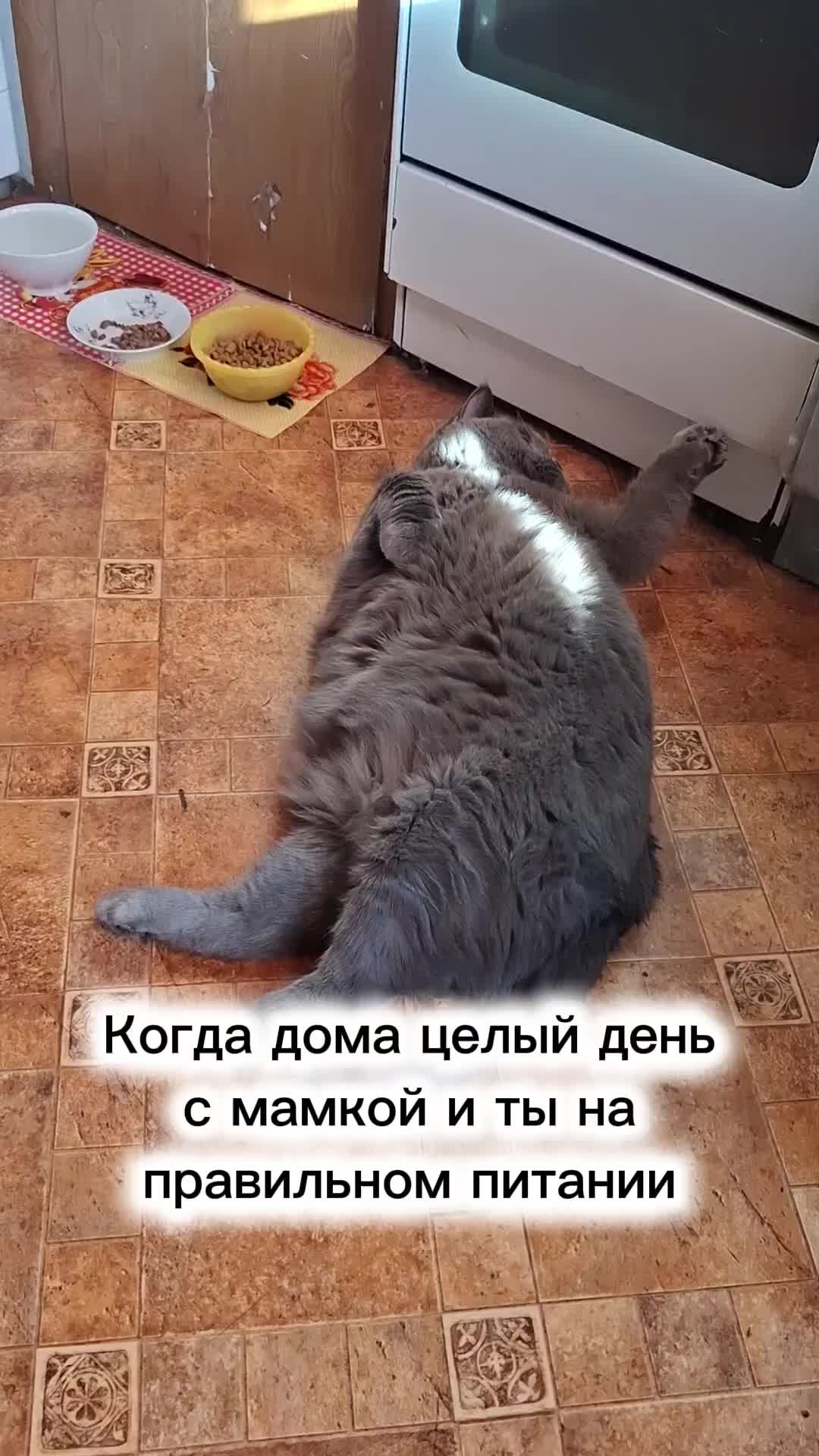 @Жанночка