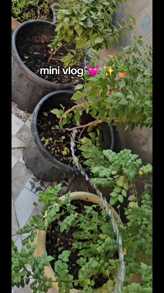 @🌧🎐