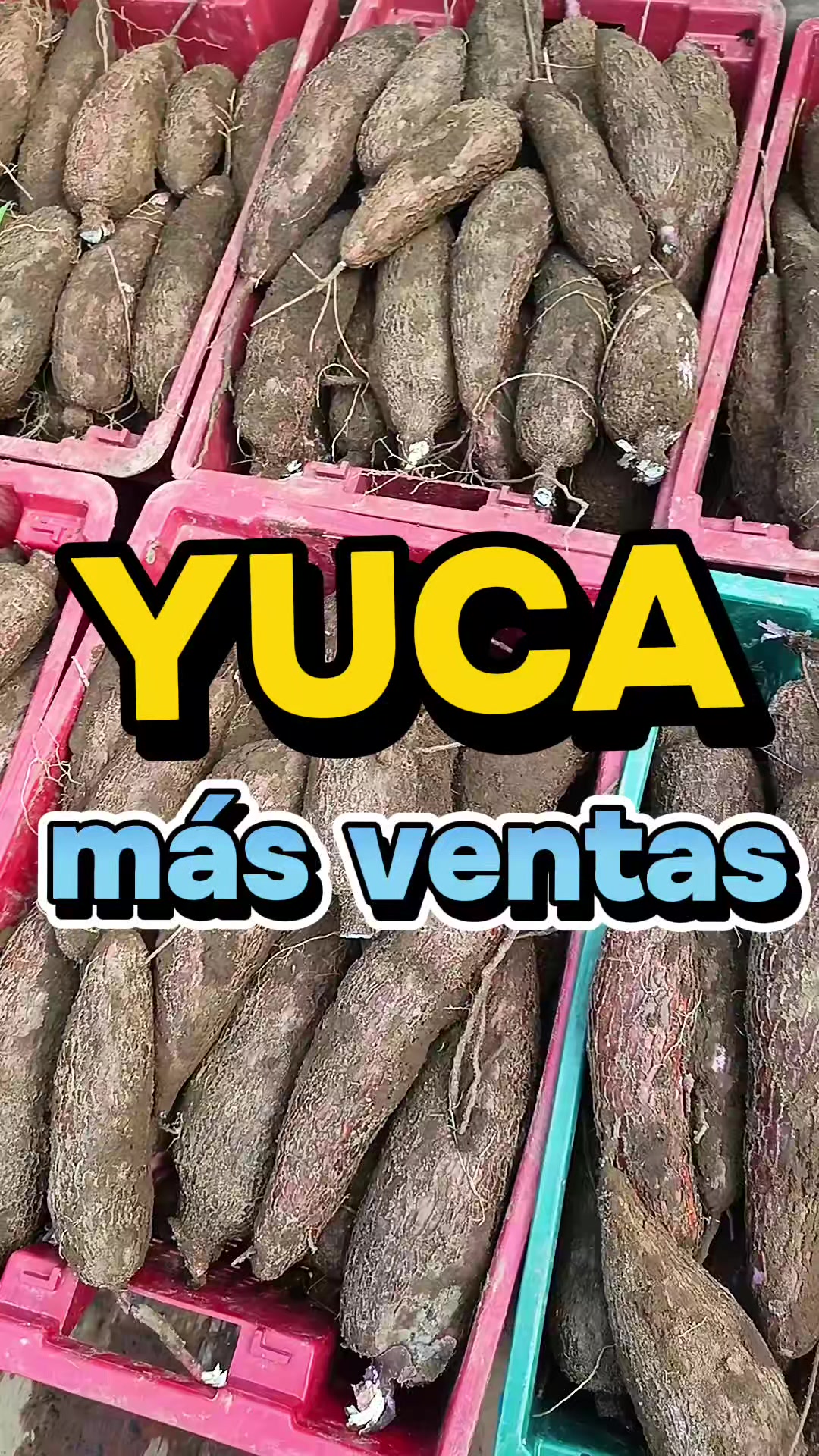@Enrique Togan