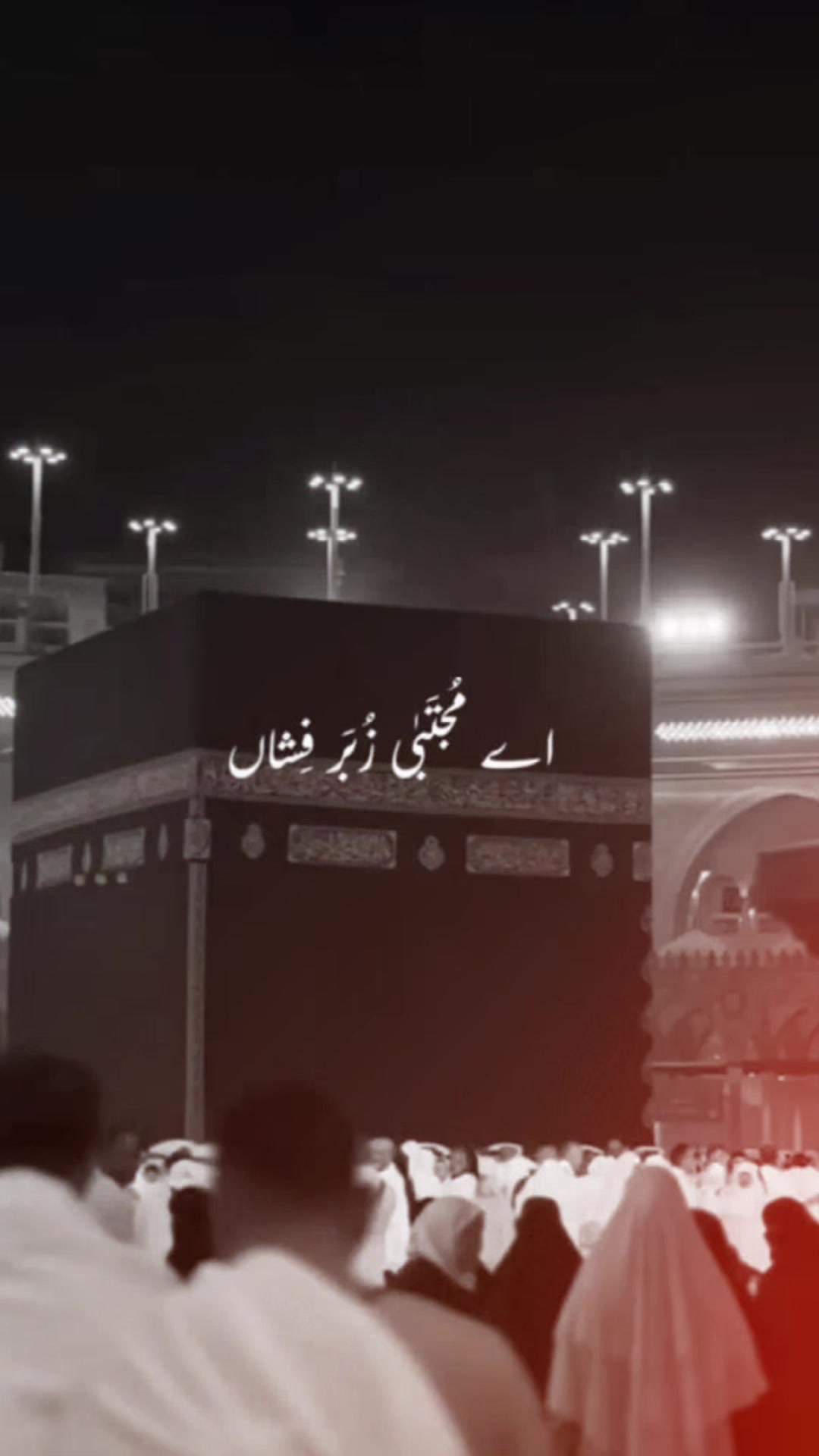@🌷انور 𝘈𝘒🌷