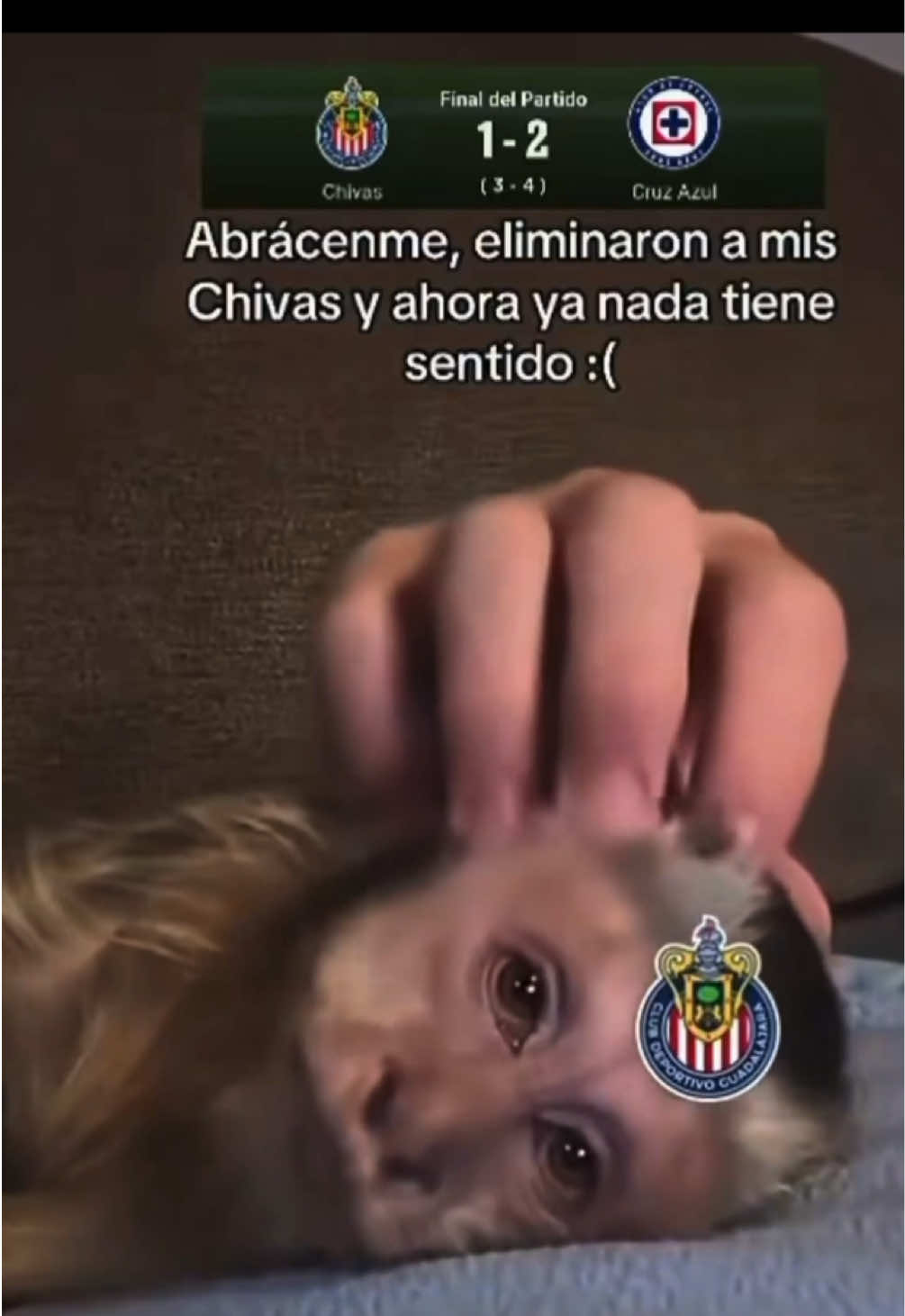 @migueel.vlogs