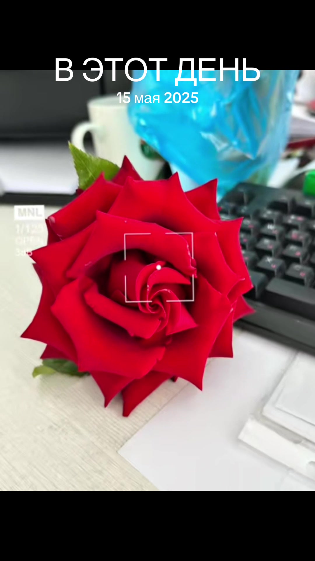 @𝓐𝓲𝓷_𝓸𝓚