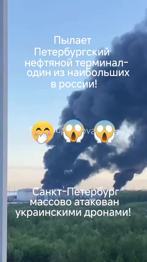 @haliina5