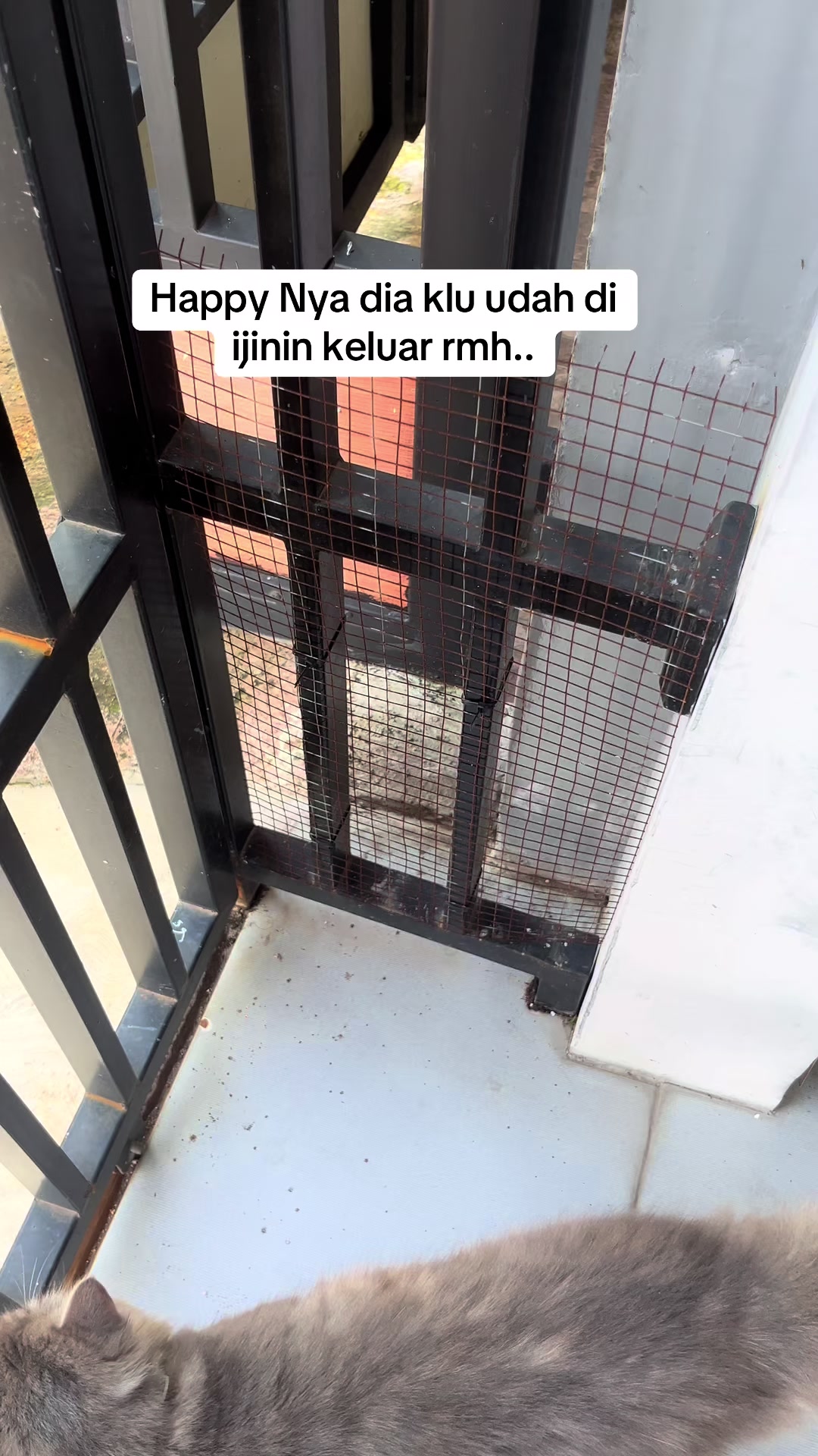 @devihannan