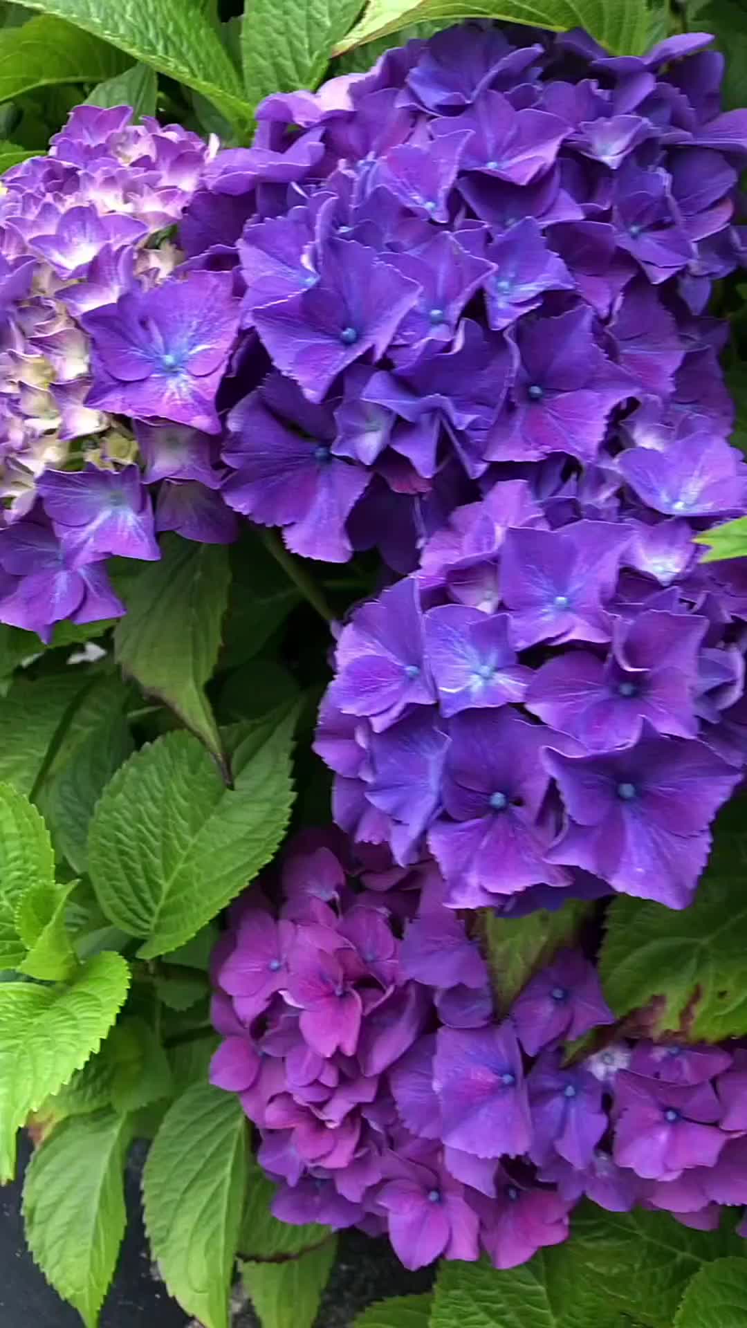 @Катя