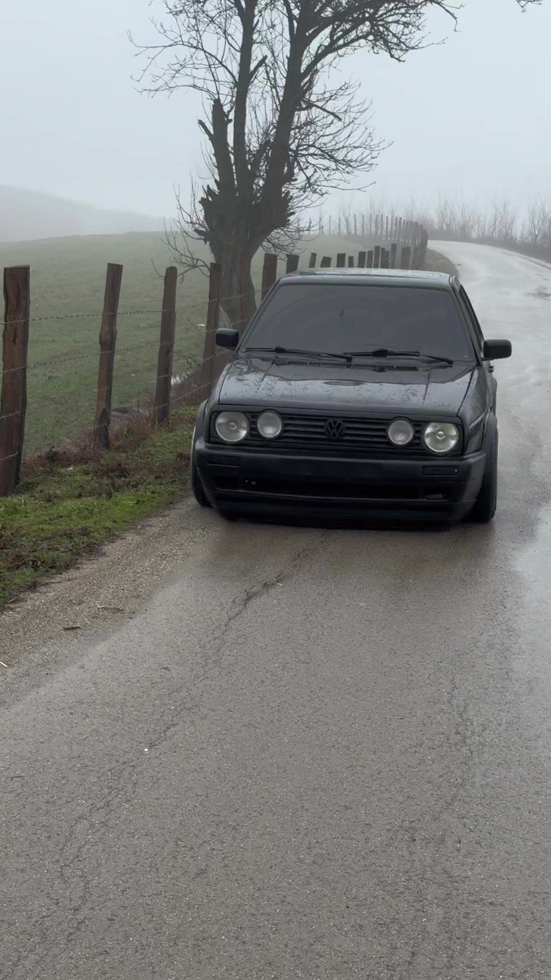 @Albert.Mk2