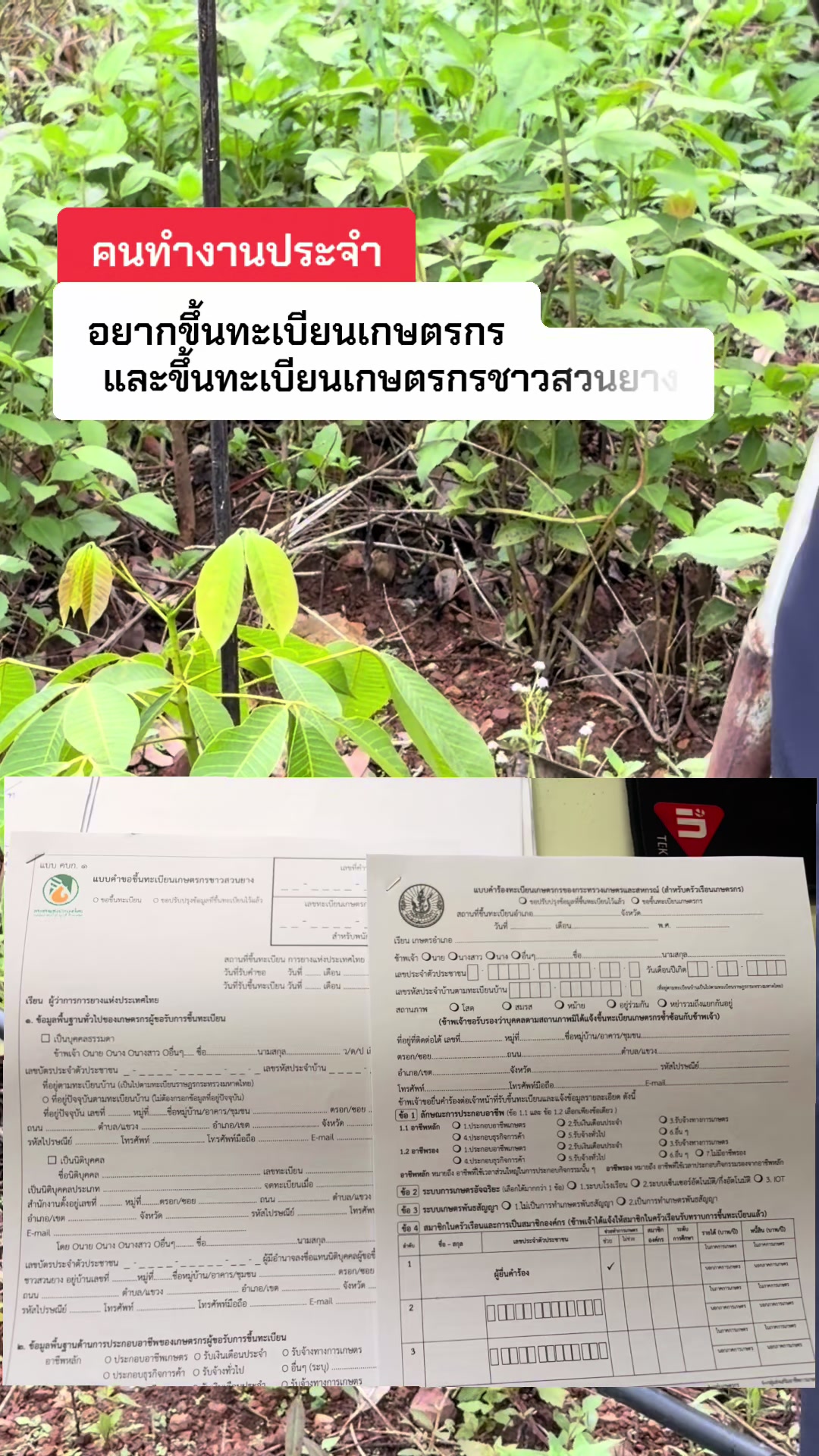 @นัดดาชอป