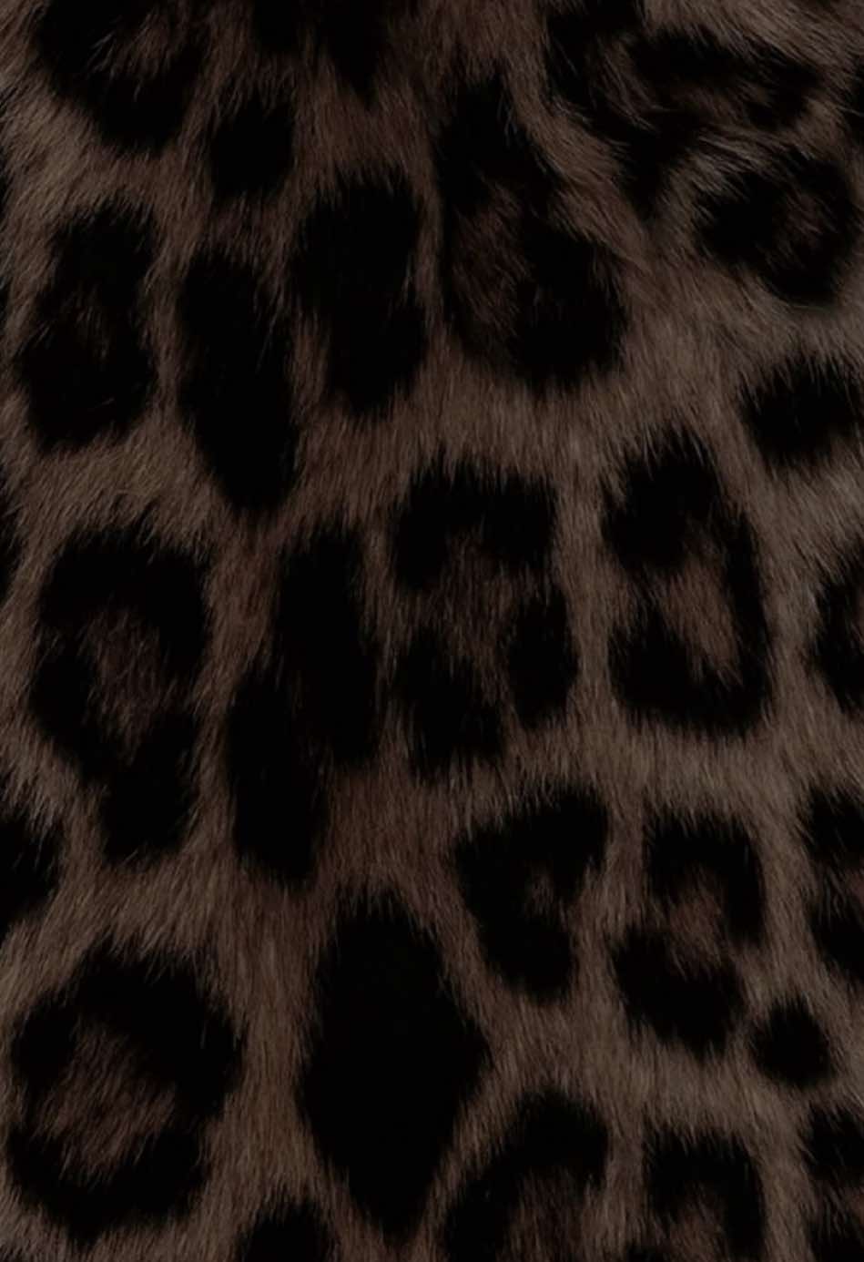 @𝓖𝓢