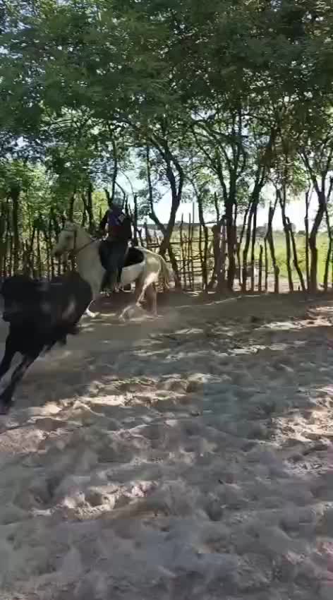 @JOSÉ DAVID