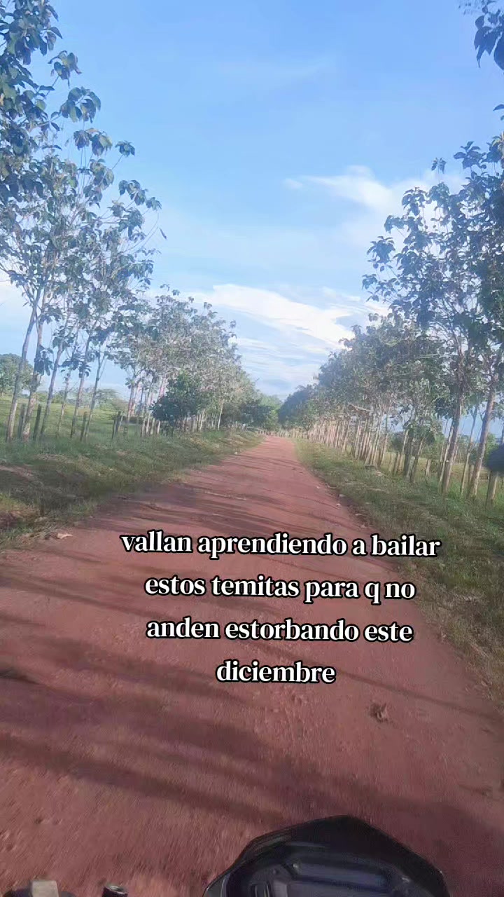 @liliana cabrera navia